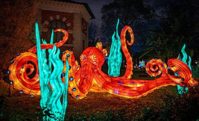 Jardin des Plantes in Paris: the illuminations