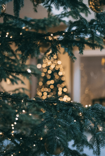 Des parapluies féériques au Bercy Village