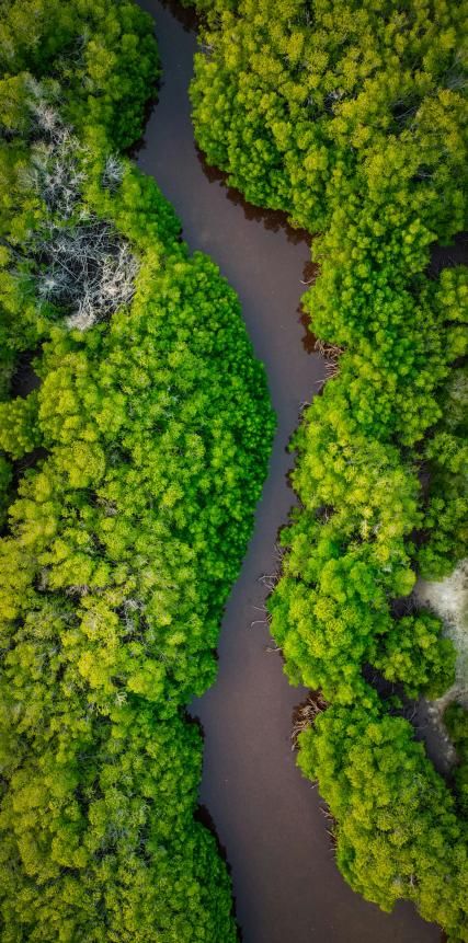 Amazônia au Quai Branly : l’Amazonie se raconte