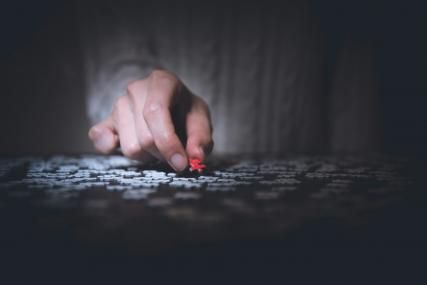 Michèle Wilson Puzzles: A Unique French-Made Gift!