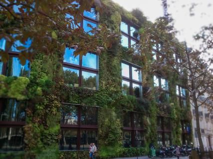 Découvrez le Quai Branly en Famille cet été !