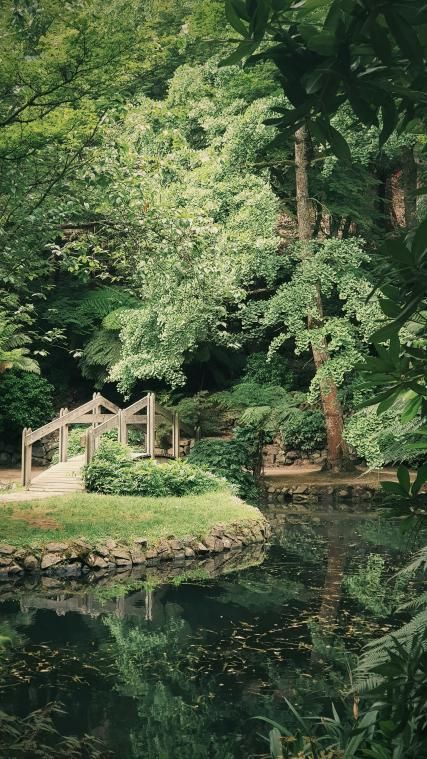 Le Jardin d'acclimatation : une pause nature d'été à Paris