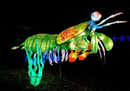 Mini-mondes en voie d'illumination at the Jardin des Plantes