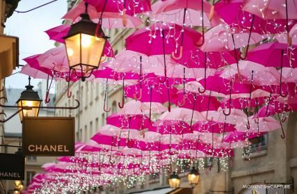 The Pink Umbrellas of Paris