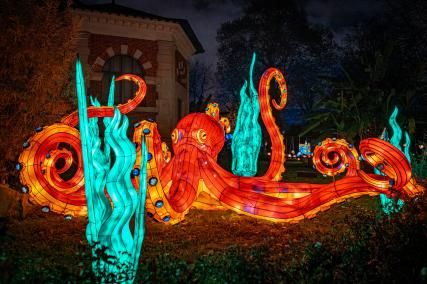 Jardin des plantes à Paris : les illuminations