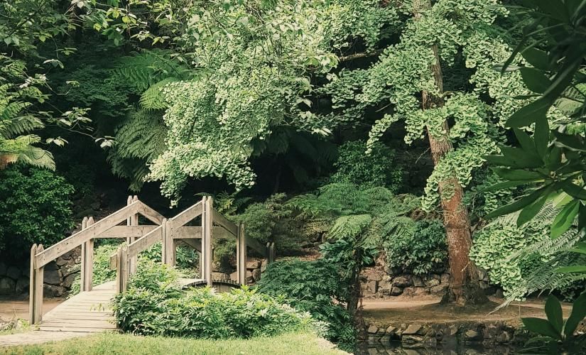 The Jardin d’Acclimatation: a Summer Nature Escape in Paris