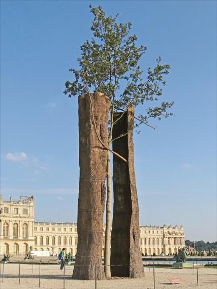 Exposition Arte Povera à la Bourse de Commerce